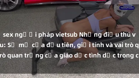 sex người pháp vietsub Những điều thú vị về sex ở Bắc Âu: Sự mở cửa đầu tiên, giới tính và vai trò quan trọng của giáo dục tình dục trong các quốc gia này.